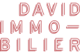DAVID IMMOBILIER